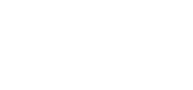 REV-Apex