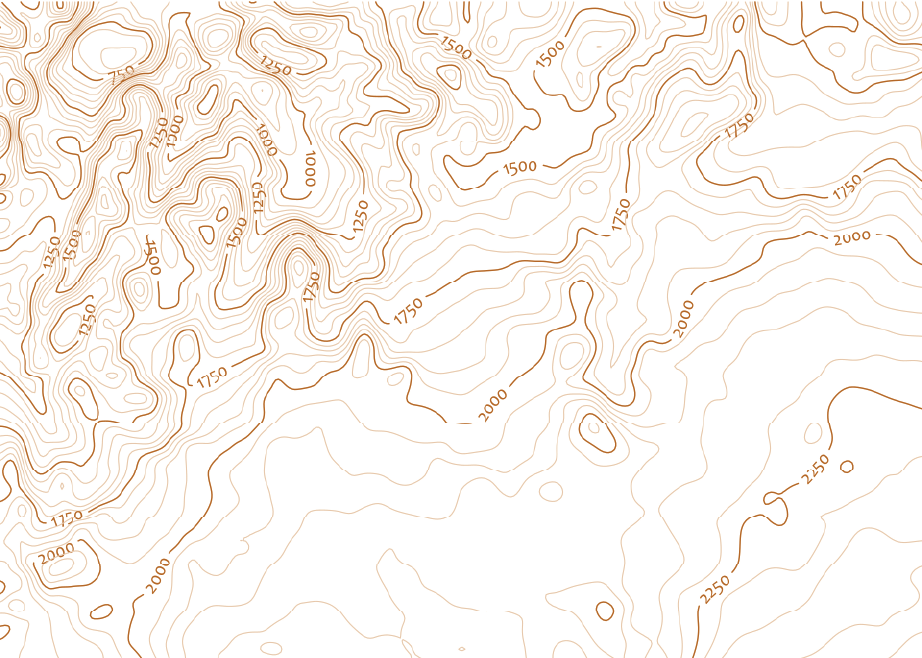 Contour linework
