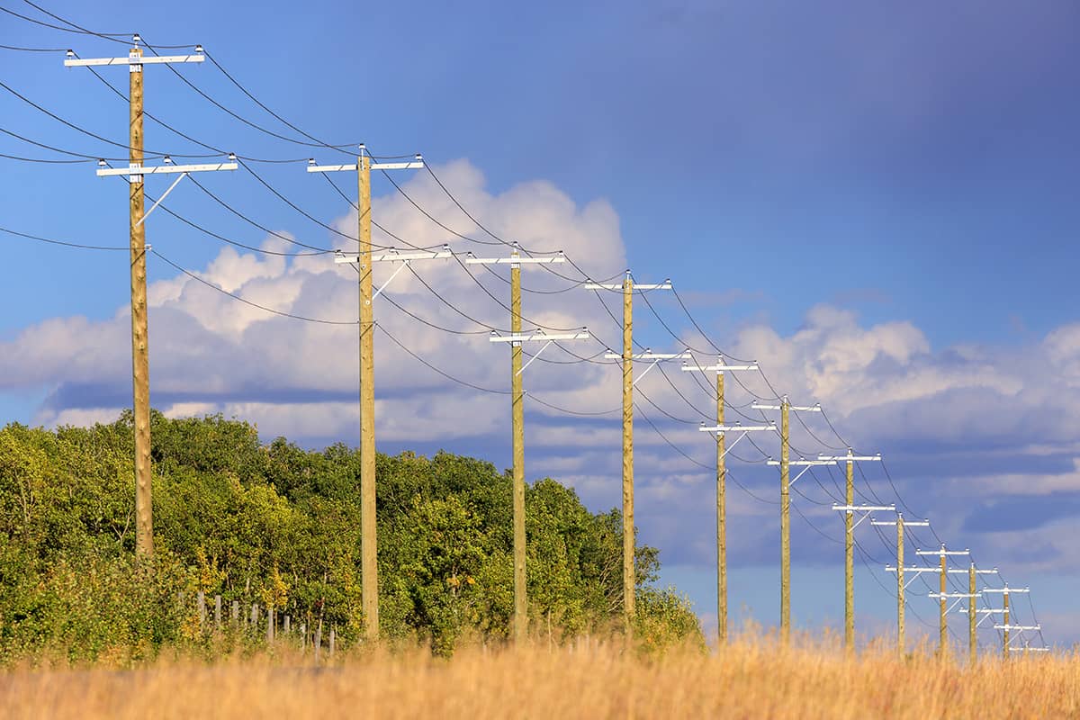 Powerpoles along a road