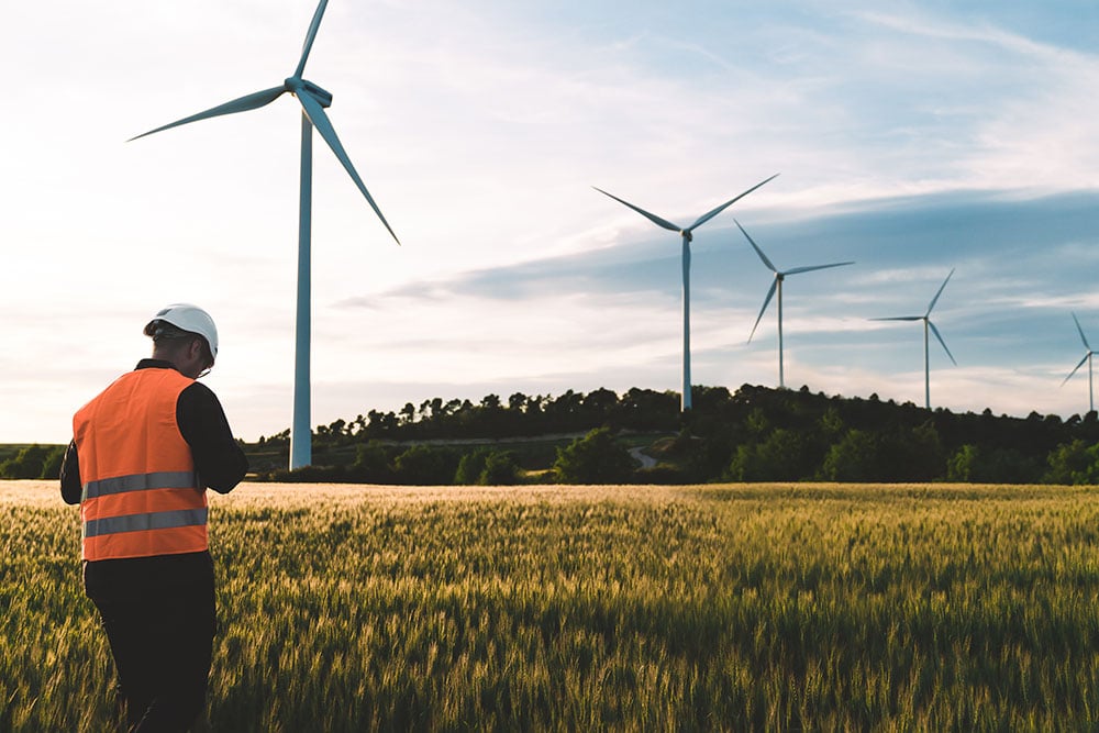 Worker in a wind farm field