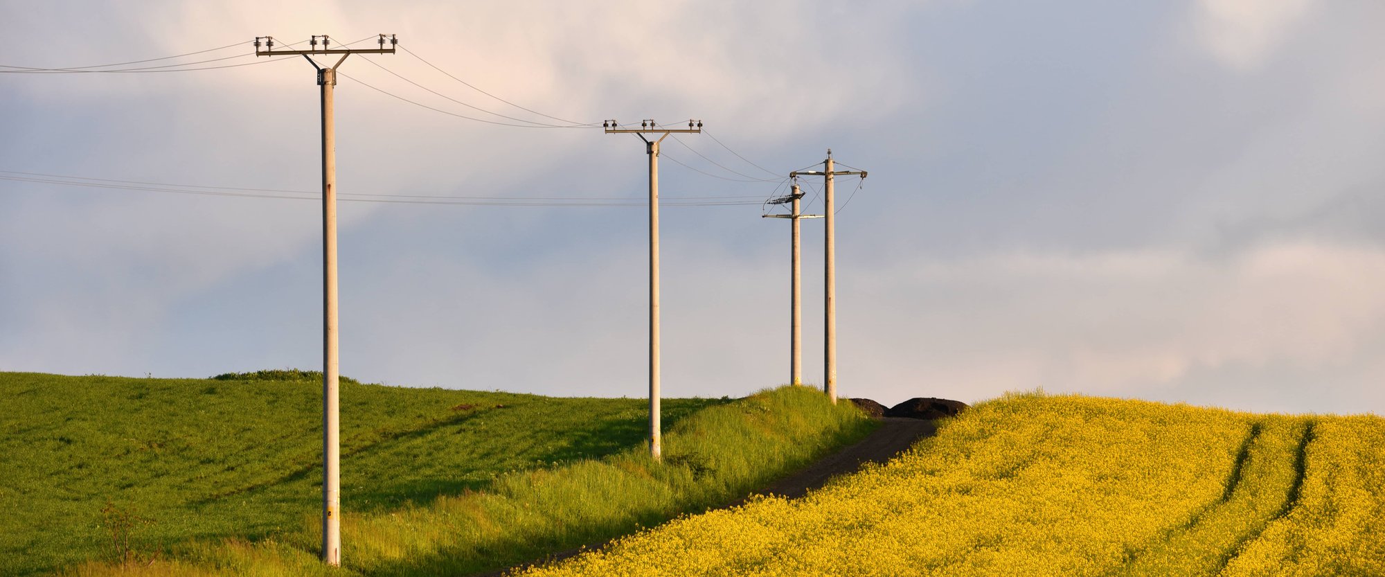 Powerlines on country road