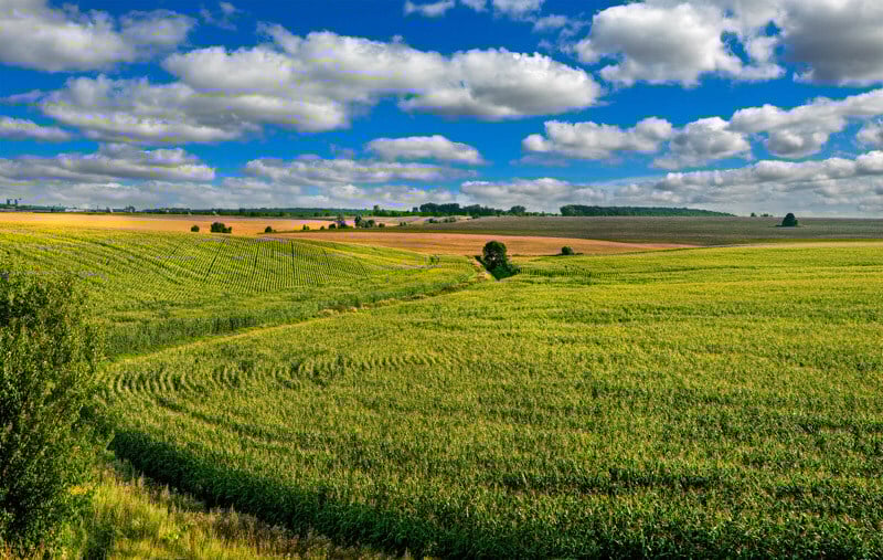 Rolling farm fields